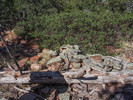 photo thumbnail #3