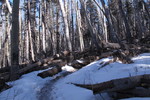 photo thumbnail #1