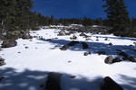 photo thumbnail #9