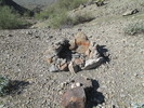 photo thumbnail #4