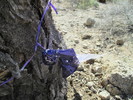 photo thumbnail #6