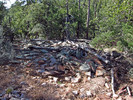 photo thumbnail #4