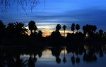 photo thumbnail #14