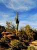 photo thumbnail #4