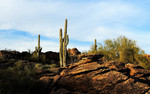 photo thumbnail #8