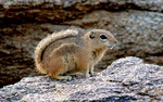 photo thumbnail #12