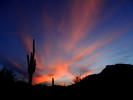 photo thumbnail #14