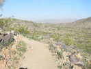 photo thumbnail #2