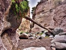 photo thumbnail #8