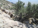 photo thumbnail #14