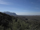 photo thumbnail #9