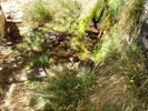 photo thumbnail #12