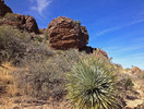 photo thumbnail #4