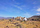 photo thumbnail #8
