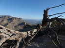 photo thumbnail #5