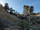 photo thumbnail #6