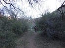 photo thumbnail #4