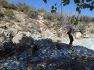 photo thumbnail #7