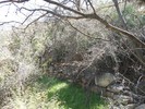 photo thumbnail #12