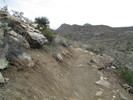 photo thumbnail #6