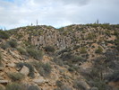 photo thumbnail #7