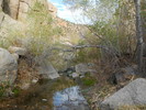 photo thumbnail #14
