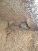 photo thumbnail #15
