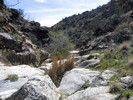 photo thumbnail #11