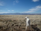 photo thumbnail #4
