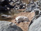photo thumbnail #9