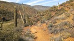 photo thumbnail #2