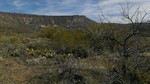 photo thumbnail #7
