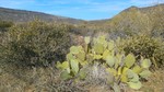 photo thumbnail #8