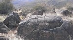 photo thumbnail #12