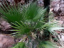 photo thumbnail #7
