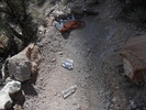 photo thumbnail #9