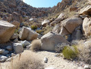 photo thumbnail #10