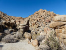 photo thumbnail #12
