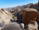 photo thumbnail #14