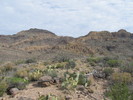 photo thumbnail #2