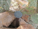 photo thumbnail #4