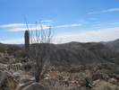 photo thumbnail #7