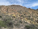 photo thumbnail #9