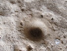 photo thumbnail #14
