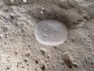 photo thumbnail #15