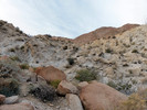 photo thumbnail #7