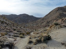 photo thumbnail #13