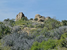 photo thumbnail #11