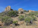 photo thumbnail #12