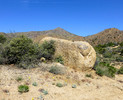 photo thumbnail #14